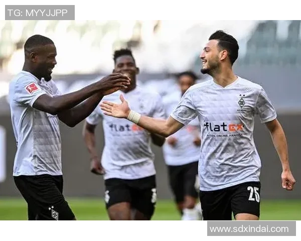 门兴格拉德巴赫与哈夫柏林的精彩对决分析与赛季展望